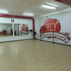 Академия танца FLY