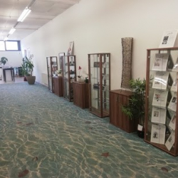 Tanzstudio Dance Industry St.Veit