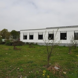 Dance Professional Mannheim