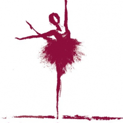 סטודיו Developpe - בית ספר מקצועי למחול