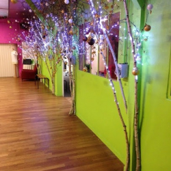 Ballet School Joel Cruveilher