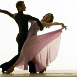 Тгданцпорт