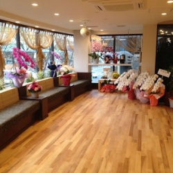 ＤａｎｃｅＣｏｌｌｅｇｅ・Ｈｉｇａｓｈｉｎｏ