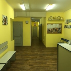 DSF Школа танцев