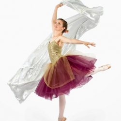 Dunamix Dance Project