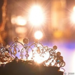 エコール・ド・プチ・ポワント