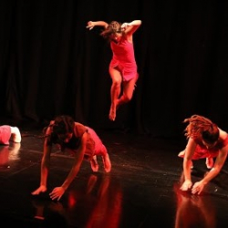 Estudio de Danza Francisca Garcia Falabella E.I.R.L.