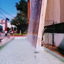 Fundação das Artes