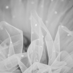 First Act International Dance Project