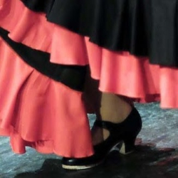 estudio flamenco winterthur