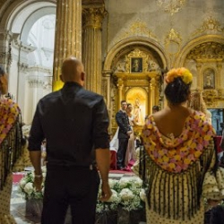 Flamenco Pura Sangre