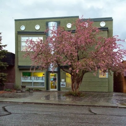 Free House Dance Plus