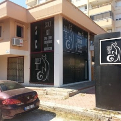 Gümüş Kedi Gençlik Dans Kulübü