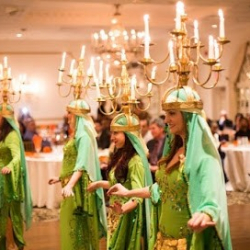 Habeeba's Dance Studio and Egyptian Dance Ensemble