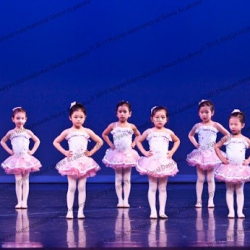 Haiyan International Dance Academy - Bethany Studio