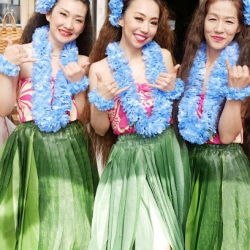 Hawai'i Hula Studio(ハワイ フラ スタジオ)