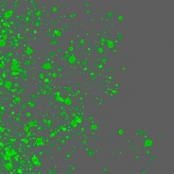 Home of Pole Ingolstadt