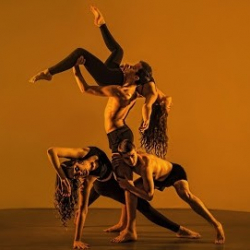 Ignition Dance Academy