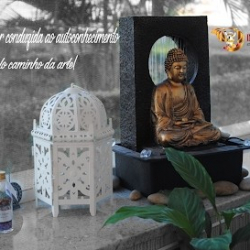 Institute Anandah - Belly Dance and Tai Chi Chuan