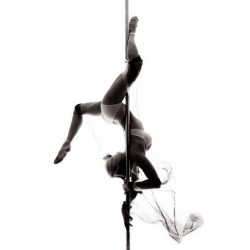 iSpin Aerial Dance Studio