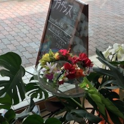 Kaiolohia ハワイアンフラ