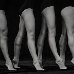 Karl and DiMarco South