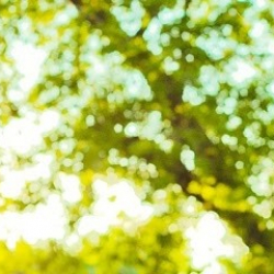 KVARTAL Юлии Шостак