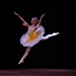 The Little Ballet Company