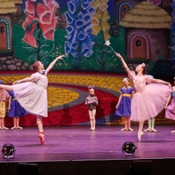 Littleton Ballet Academy