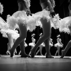 Centro de Danza Maribel Montes