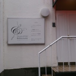 Natsumi & Yuki School of Ballet