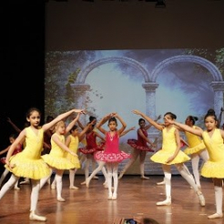 National Ballet & Academy Trust of India