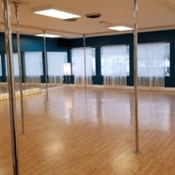 Okanagan Pole Dance + Aerial Fitness