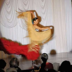 フラメンコ教室 (久留米国際文化交流くらぶ)