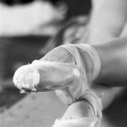 Passion: Dance & Acro Ltd. (PDA)