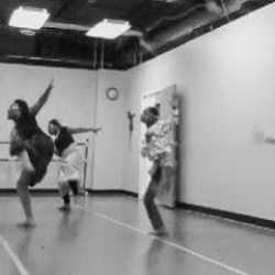 Sheena's Platinum Movements