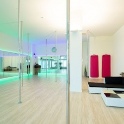 Poledance Luzern Ruopigen