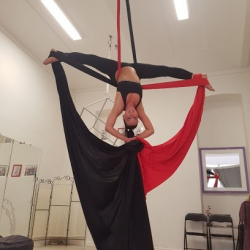 Студия Аллюр- Пол дэнс, растяжка, воздушные полотна и кольцо