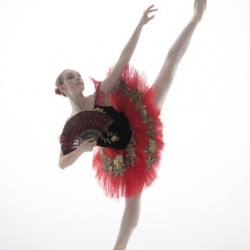 Professional Ballet School