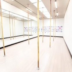 Risque Demeanor - Boutique Pole Fitness Studio