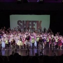 Shee'k Dance Studio