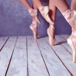 Shindomami School of Ballet