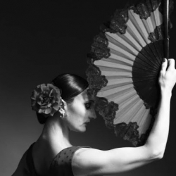 Le Studio Flamenco De Bordeaux