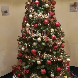 Tanzhaus Valentino GmbH