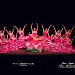 Escuela de Danza Ana Serna