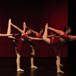 Art In Motion Reno LLC