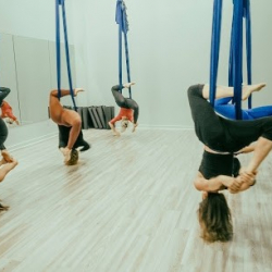 Ascendance Pole and Aerial Arts