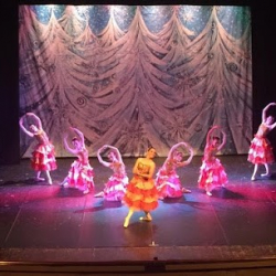 A.S.D. Danzart Scuola di Danza e Ginnastica