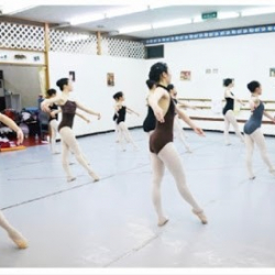 プリモーイシアターオブダンサーズ