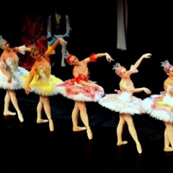 BalletAdultoKR® - Seu sonho levado a sério.